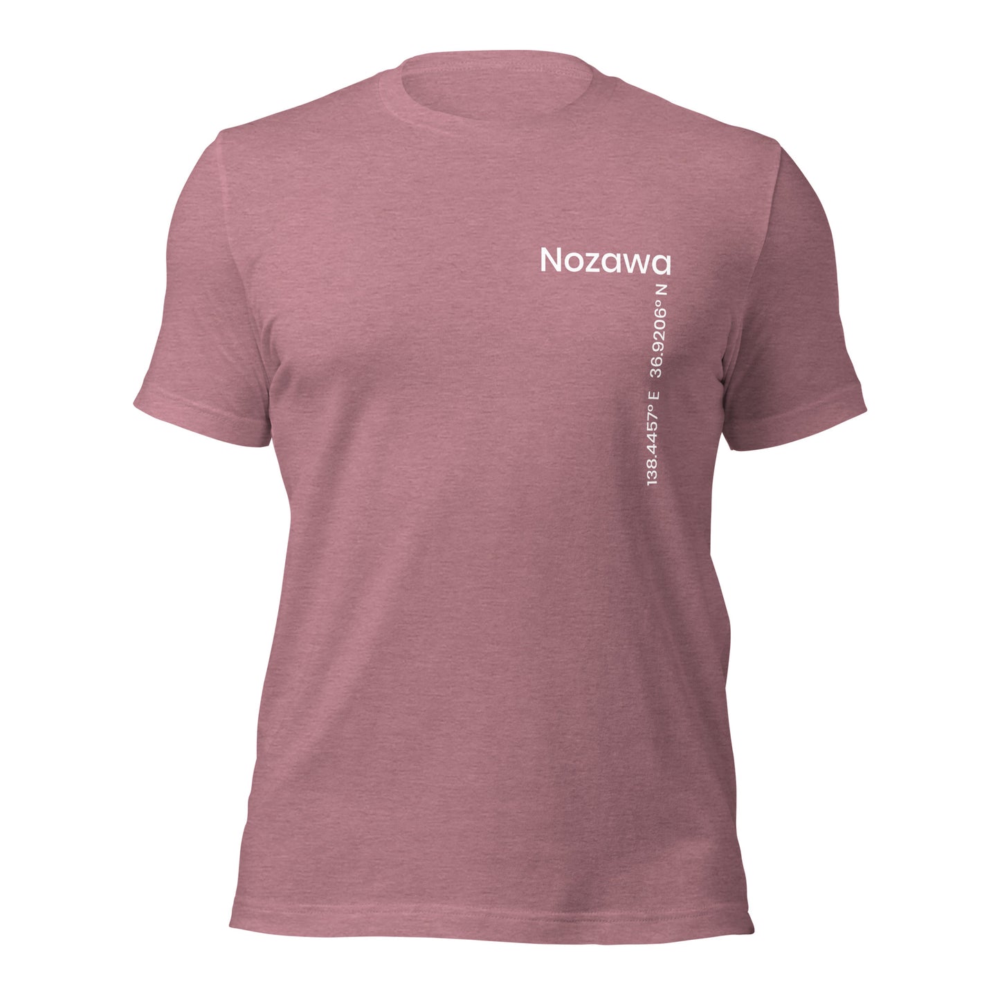 Nozawa Onsen Coordinates T-Shirt